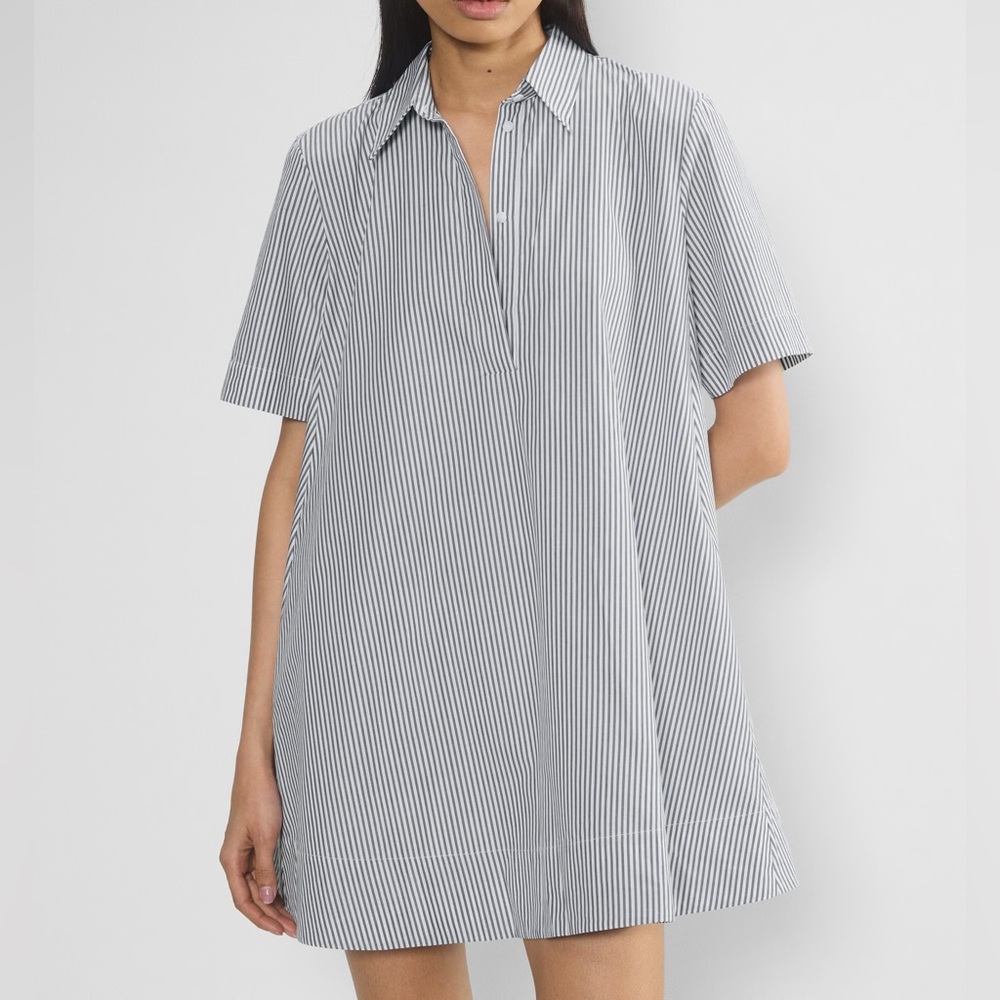 Aritzia Babaton Resolute Poplin Mini Swing Dress